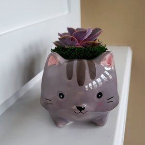 Ceramic Cat Planter with Live Succulent, Grey 5"